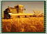www.wimmera.com.au