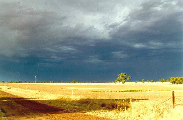 Mark Radford - “Storm Brewing”