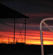  - “Farm Gate”