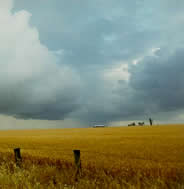 Mark Radford - “Coming Storm”