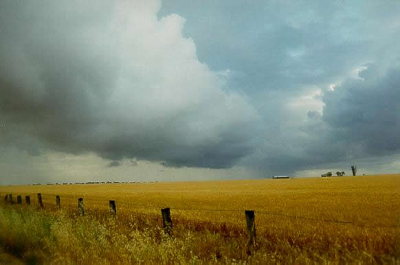 Mark Radford - “Coming Storm”