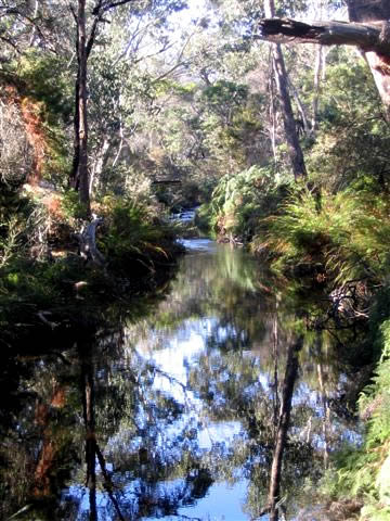 Hannah Cousins - “Zumsteins 009”