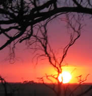 Fay Cuz - “Sunsets - 041”
