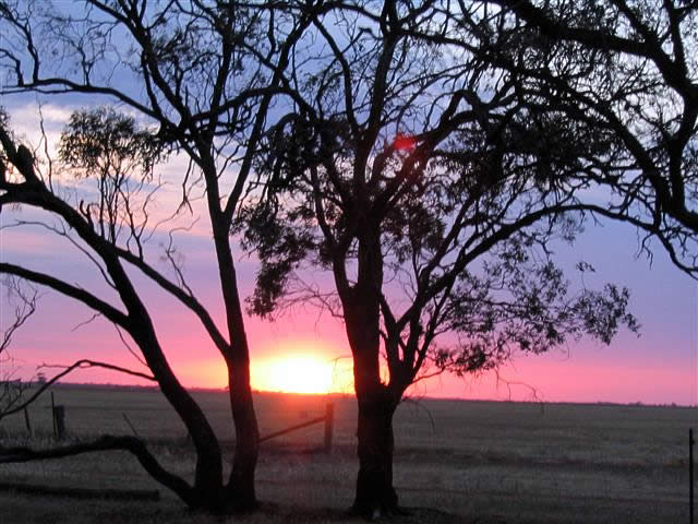 Fay Cuz - “Sunsets - 040”