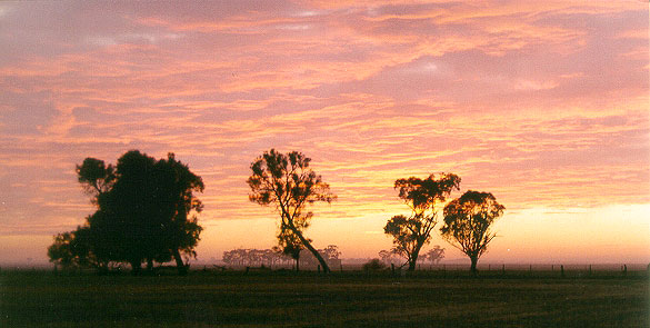 Mark Radford - “Pink Clouds”