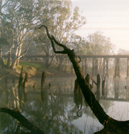 Mark Radford - “Old Railway Bridge 2”