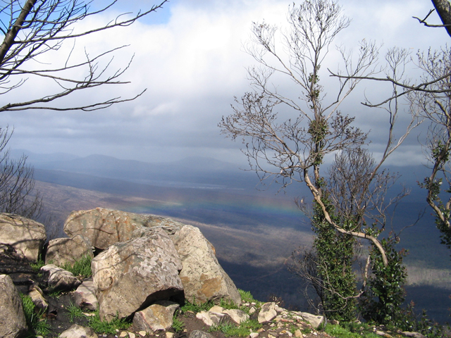 Karen Hickman - “Reads Lookout”