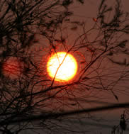 Michelle Hickman - “Sunrise Dec 06”