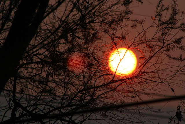 Michelle Hickman - “Sunrise Dec 06”