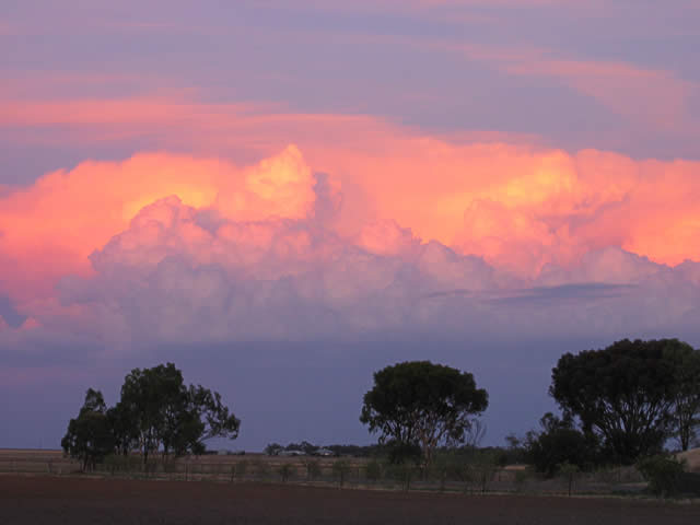 Rhonda Pilgrim - “Sunset Clouds”