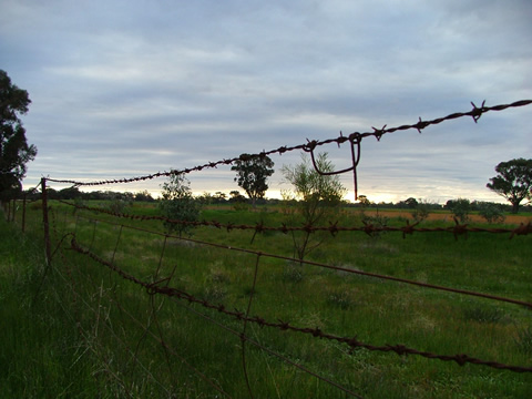 Kirsty O'Connell - “”