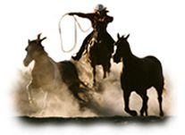 Horses