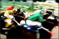 The Warracknabeal Cup